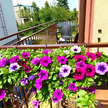 Goscinne Kaya Проживание в семье Владыславово