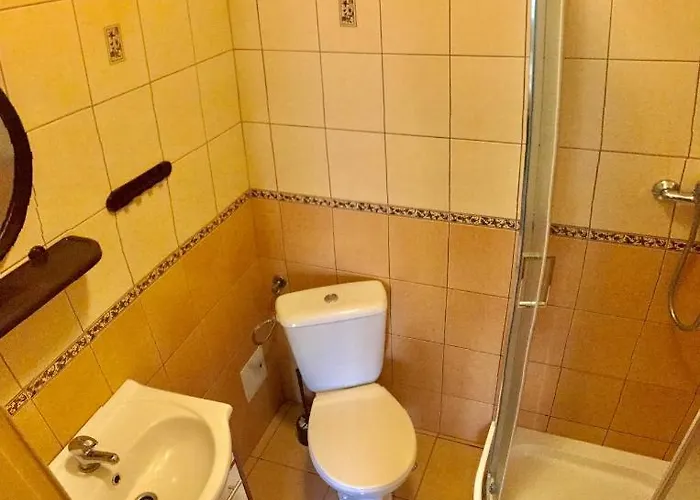 Goscinne Kaya 民宿 *