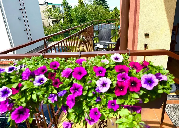 Goscinne Kaya Проживание в семье Владыславово