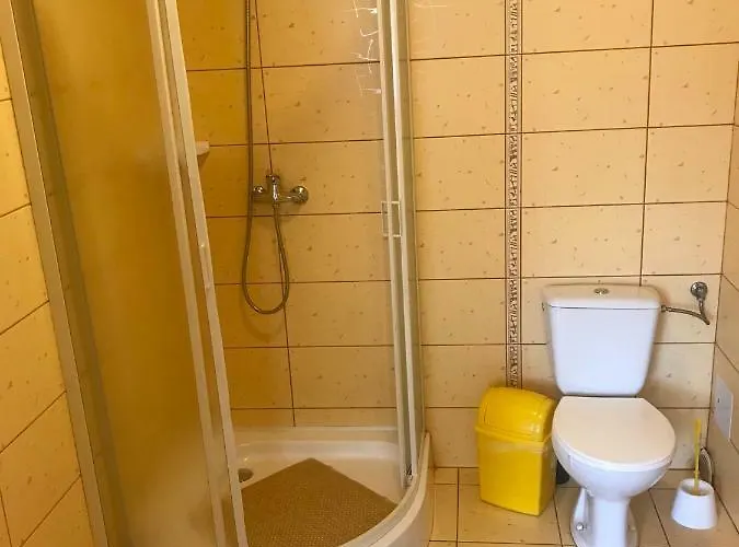 Goscinne Kaya 民宿 *