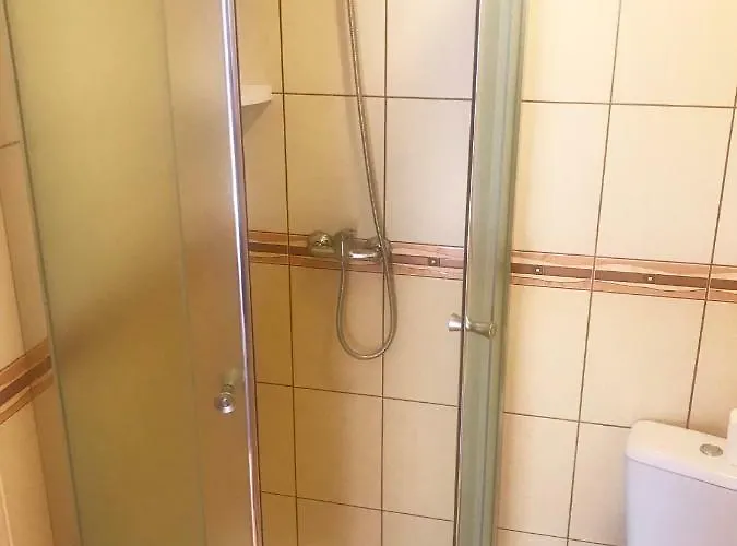 Goscinne Kaya 民宿 *